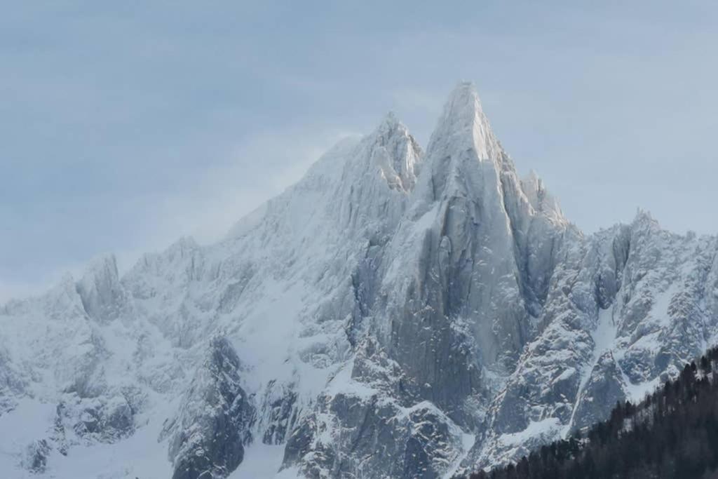 Residence Luxe 5*,Spa & Fitness, La Cordee Appartement 821 Chamonix Eksteriør billede